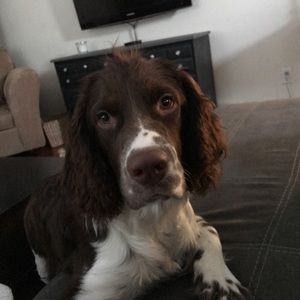 Meet your Posher, Patti